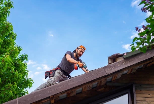 Best Roof Restoration  in Idylwood, VA